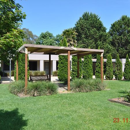 Grevillea Gardens Apartment 3 布赖特 外观 照片
